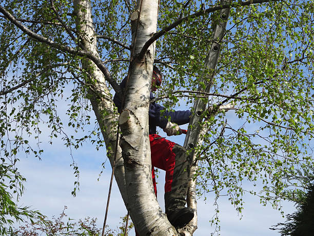 Mulching Services in Terrebonne, OR